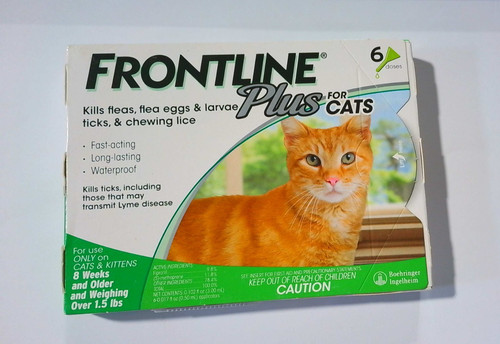 Frontline plus for - frontline, cats