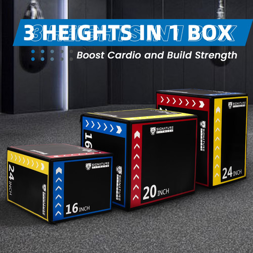 Signature fitness 1 - signature, foam